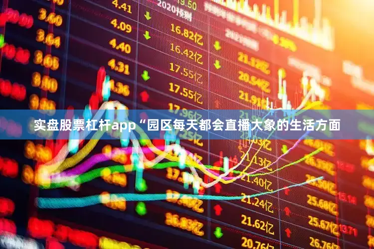 实盘股票杠杆app“园区每天都会直播大象的生活方面