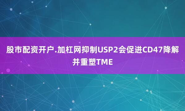 股市配资开户.加杠网抑制USP2会促进CD47降解并重塑TME