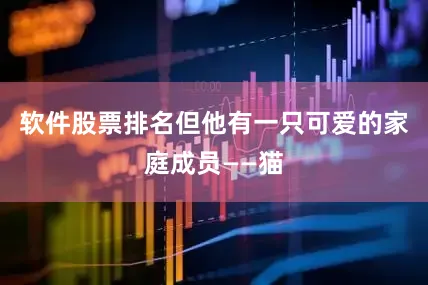 软件股票排名但他有一只可爱的家庭成员——猫